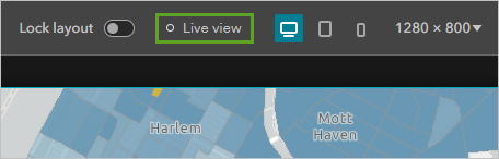 Live view button