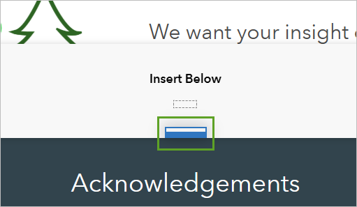Row between the Introduction and footer rows