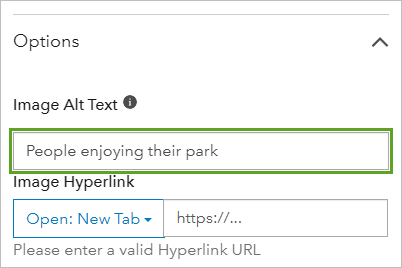 Image Alt Text parameter