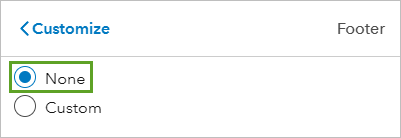 None option for footer