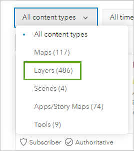Layers selected in the All content types filter menu