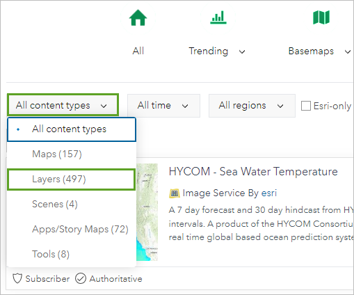 Layers selected in the All content types filter menu