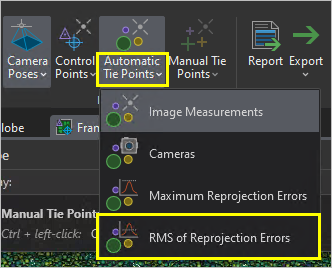 RMS of Reprojection Errors option