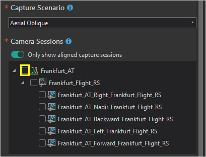Frankfurt_AT alignment session