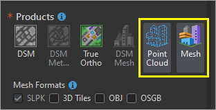 Point Cloud and Mesh output products