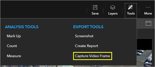 Capture Video Frame tool option