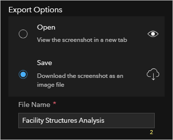 Parameters for the screenshot