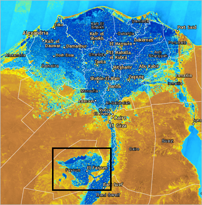 A heart-shaped area that is high in moisture