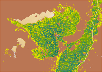 El Fayoum with the NDVI index