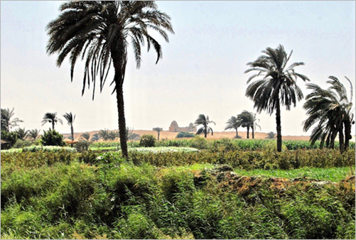 View of the El Fayoum oasis