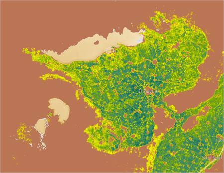 El Fayoum oasis with the NDVI index