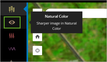 Natural Color button
