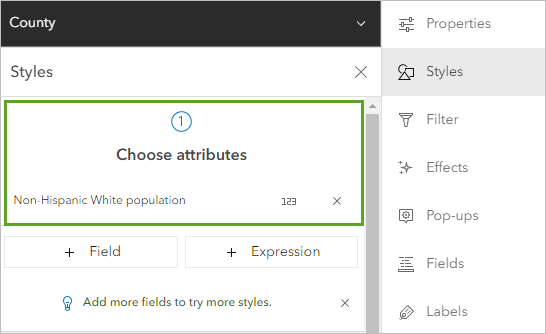 Non-Hispanic white population attribute remaining under Choose attributes in the Styles pane