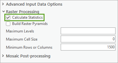 Calculate Statistics checked in the Raster Processing section