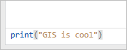 Line of code typed in the prompt of the Python window.