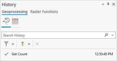 History pane with one tool entry