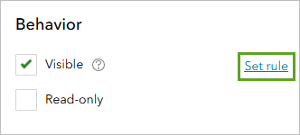 Set rule option