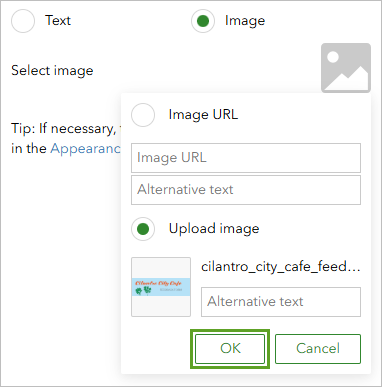 OK button in the Select image window
