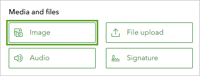 Image question type