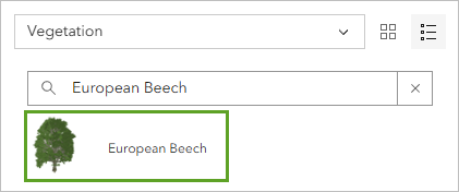 European Beech symbol