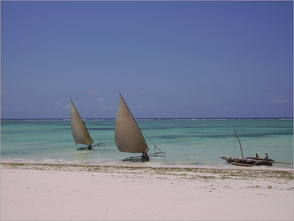 A view of a beach in Zanzibar along the Indian Ocean