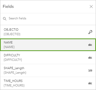 NAME field