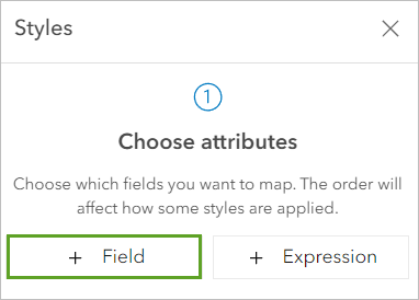 Field under Choose attributes in the Styles pane