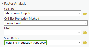 Snap Raster parameter
