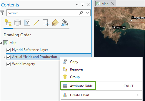 Choose Attribute Table.