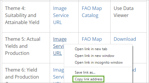 Copy the Theme 5 Image Service URL.