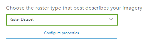 Raster Dataset selected by default.