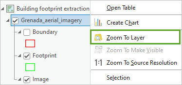 Zoom To Layer menu option