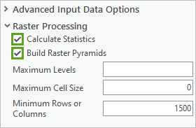 Raster Processing options