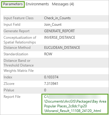 Report File path link in the Parameters tab