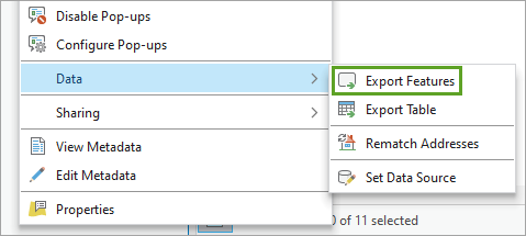 Export Features option