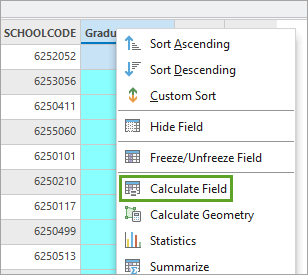 Calculate Field option