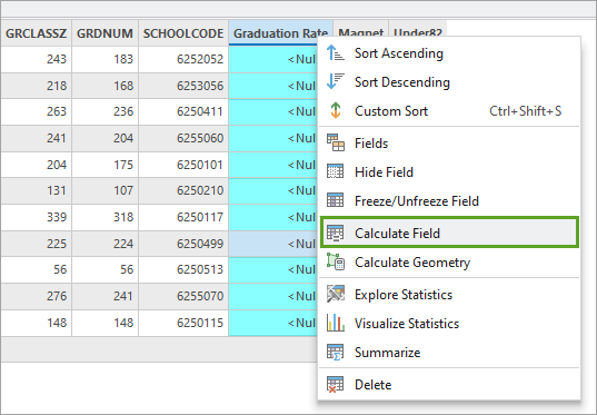 Calculate Field option