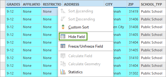 Hide Field option