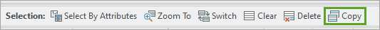 Copy Selection button