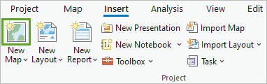 New Map button on the Insert tab of the ribbon