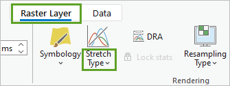 Stretch Type button on the Appearance tab of the ribbon