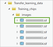 000000000000.tif file in the images folder