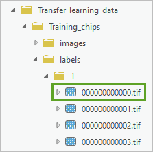 000000000000.tif file in the labels folder