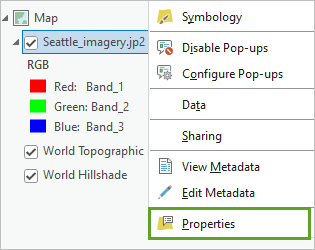 Properties menu option