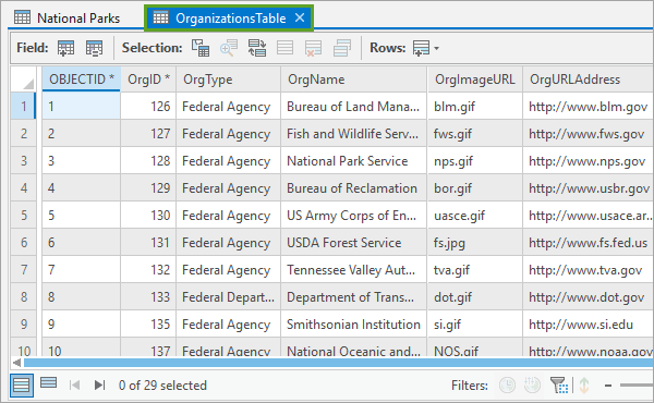 Review the attribute table.