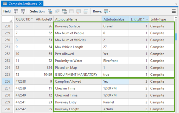 Review CampsiteAttributes table.