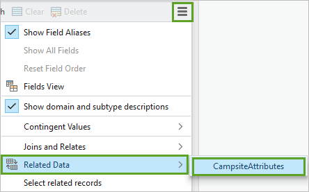 CampsiteAttributes selected for Related Data in the table menu.