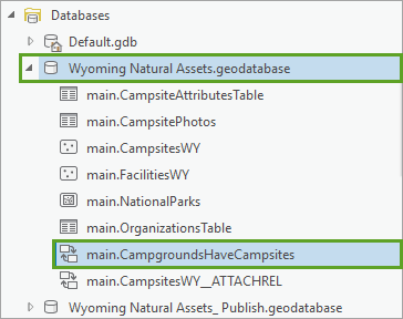 Expand geodatabase.