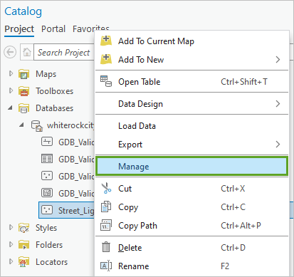 Manage option in the Street_Lights feature class's context menu