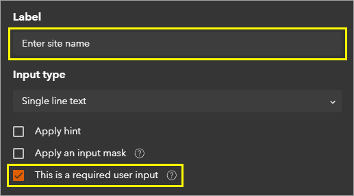 Parameters for the New user input window